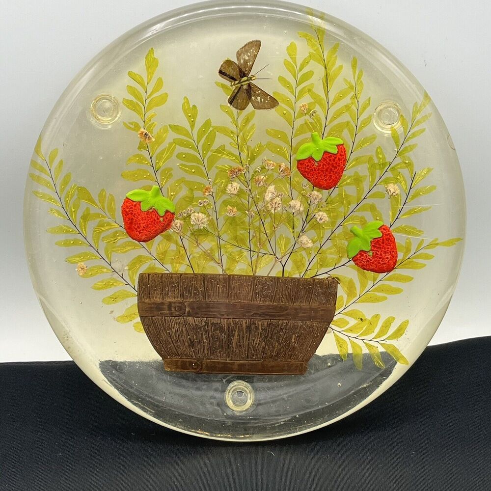Vintage Lucite Trivet Strawberries Design Gifts International 8”